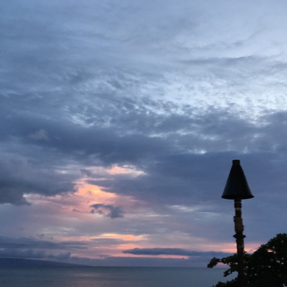 Meet your Posher, Cami